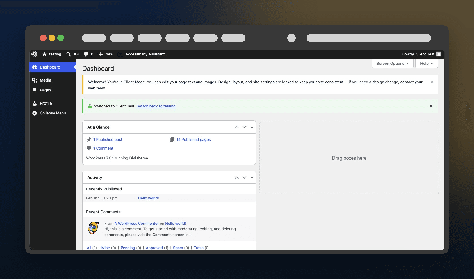 The client's trimmed WordPress dashboard under Client Mode